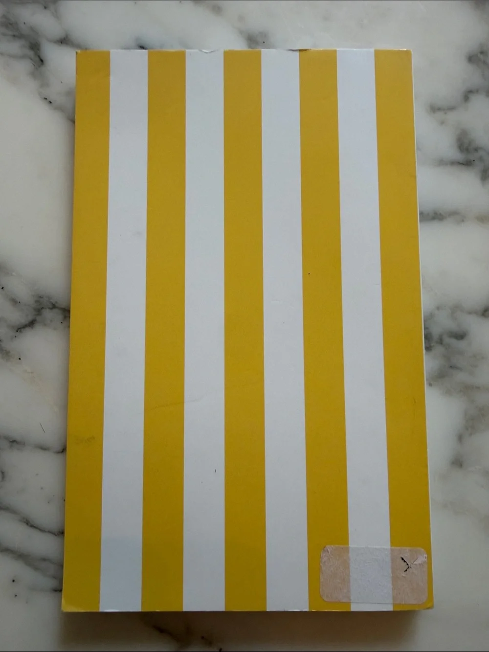 NWOT Denik Classic Layflat Lined Notebook Oyster Yellow Stripe Journal